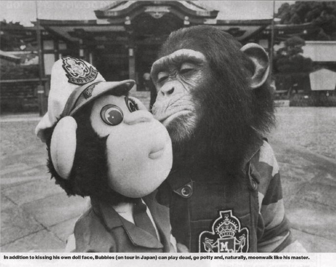 http://cultandpaste.files.wordpress.com/2009/06/bubbles-the-chimpanzee-chimp-monkey-michael-jackson.jpg